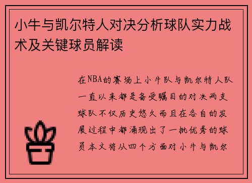 小牛与凯尔特人对决分析球队实力战术及关键球员解读